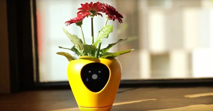 There’s A Smart Planter That Uses Facial Expressions Allowing Your Plant To Express Its Needs