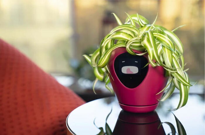 There’s A Smart Planter That Uses Facial Expressions Allowing Your Plant To Express Its Needs