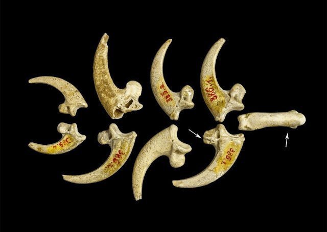 13. Oldest Jewelry (130,000 years)