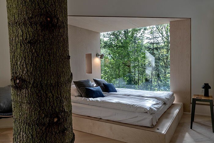 This Hotel Is Designed Exactly Like A Tree House And Is Ready For Adventurous Guests