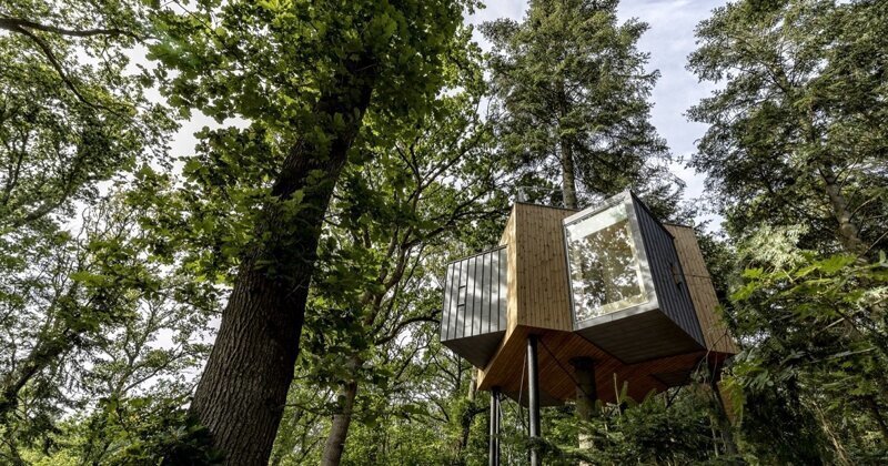 The first Løvtag cabin in a tree is already available for booking