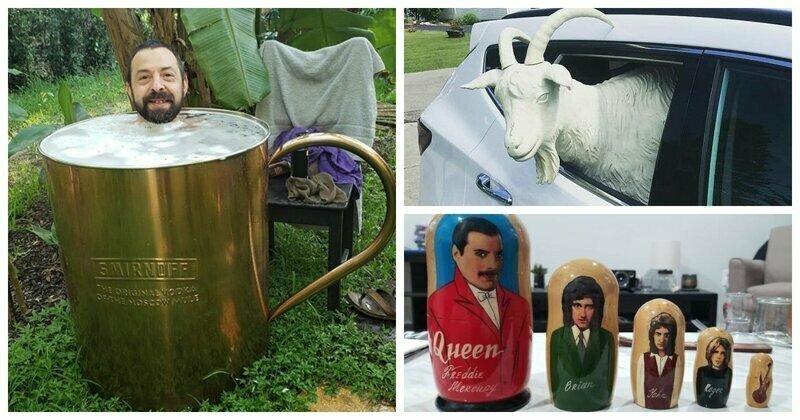 30 Times People Shared Their Weirdest Secondhand Finds