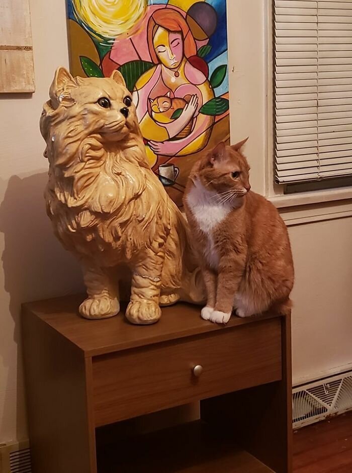 #28 My $4.99 Goodwill Find, Next To My Home Depot Find, In Front Of A Portrait Of Said Find. The Real Kitty's Name Is Nugget And He Was Found At Less Than A Week Old, In A Flowerpot At Home Depot