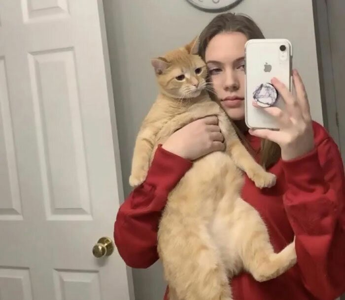 This Girl Turns Her Cat Into a Viral Star With a tiktok Video Of "Mr. Sandman"