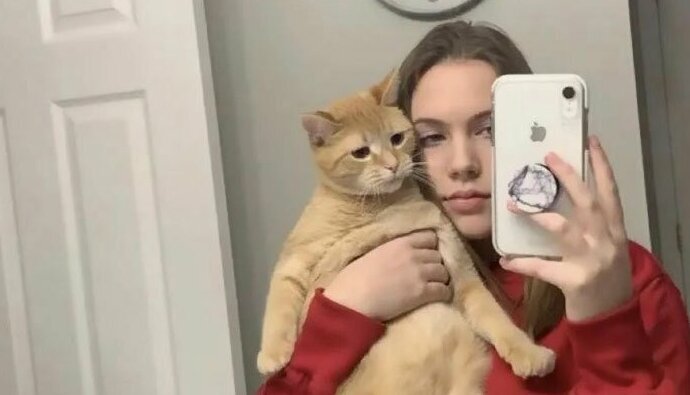 This Girl Turns Her Cat Into a Viral Star With a tiktok Video Of "Mr. Sandman"