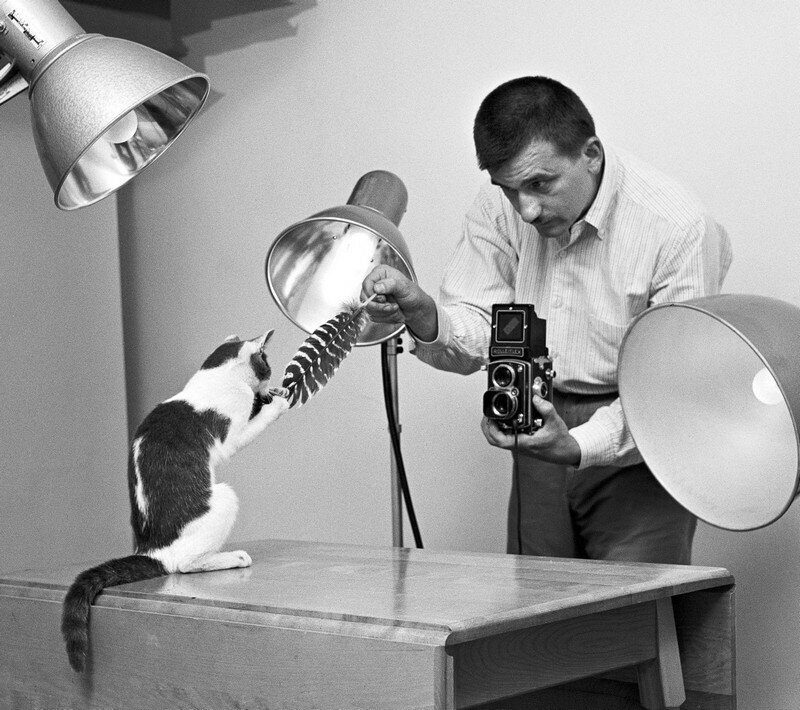 “The Cat Whisperer”: Walter Chandoha, The Photographer Who Popularized Cat Pictures