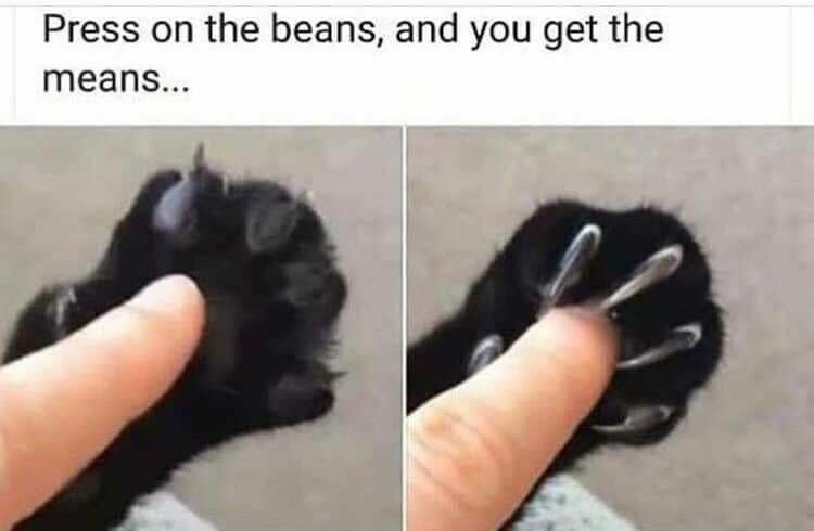 5. ...but be careful because those beans are deadly.
