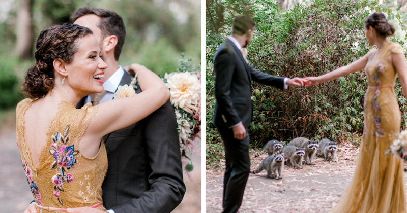 This Couple Was Taking Wedding Photos When A Raccoon Family Decided To Join Them