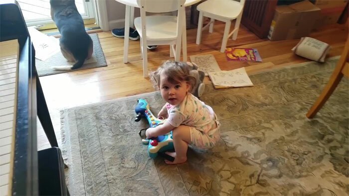 Video Of a Toddler Dancing To a piano-playing Dog Is Going Viral