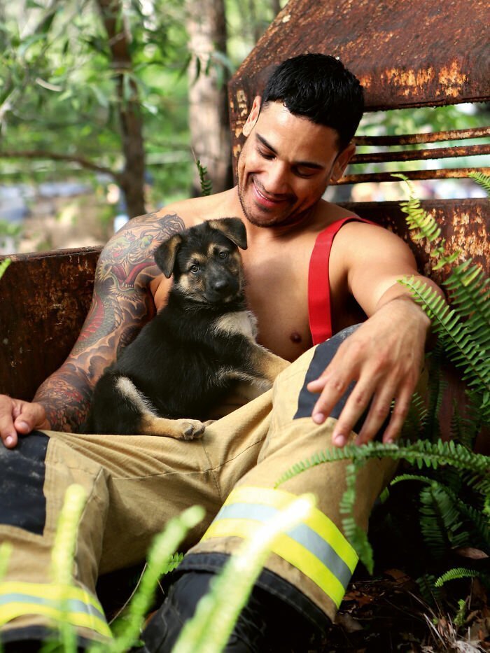 Australian Firefighters Pose With Animals For 2020 Charity Calendar