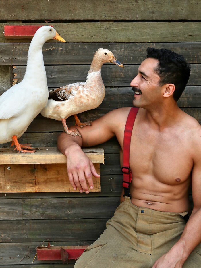 Australian Firefighters Pose With Animals For 2020 Charity Calendar