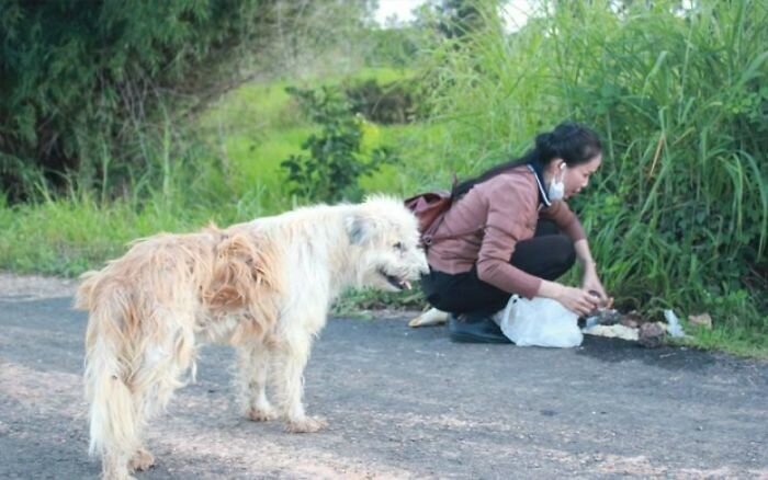 Dog Waits 4 Years In The Same Spot Near The Road, Finally Gets Reunited With His Family