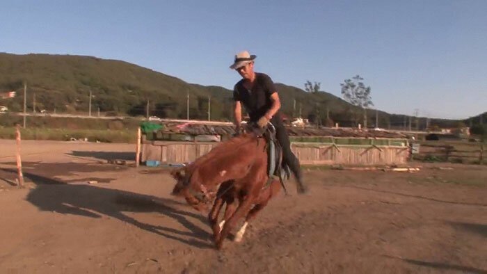 Jingang the horse pretends to ‘die’ in a dramatic way