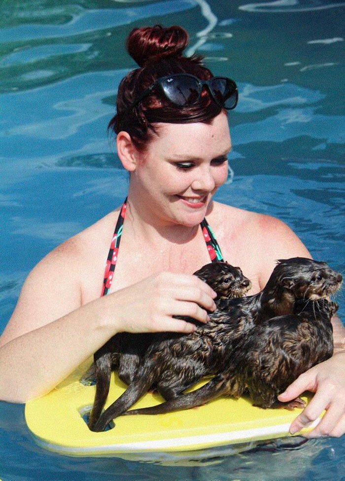 Adults Can Swim With Tiny Otters At This Animal Preserve, And The Photos Are Adorable