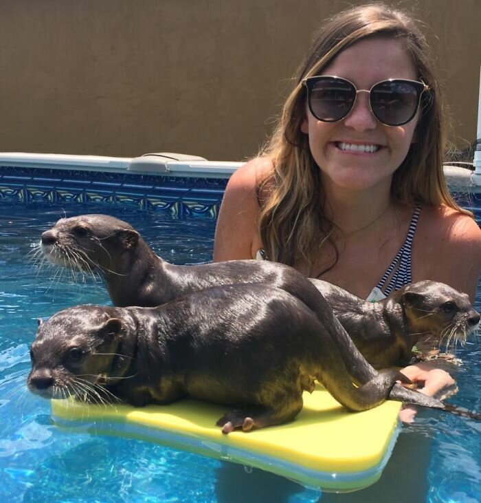 Adults Can Swim With Tiny Otters At This Animal Preserve, And The Photos Are Adorable