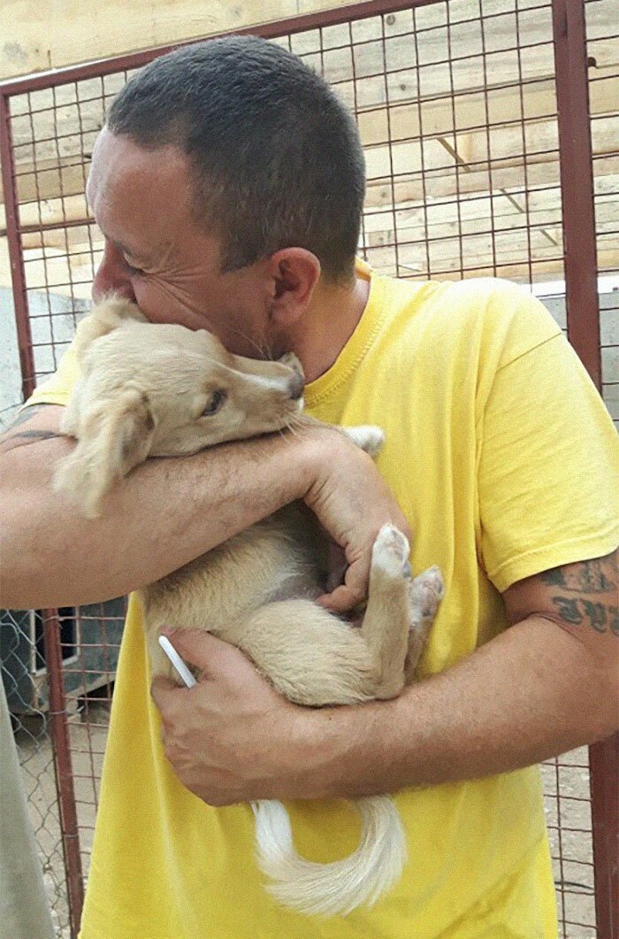 Guy Takes In Pups That No One Wants, Runs A Shelter With 750 Dogs