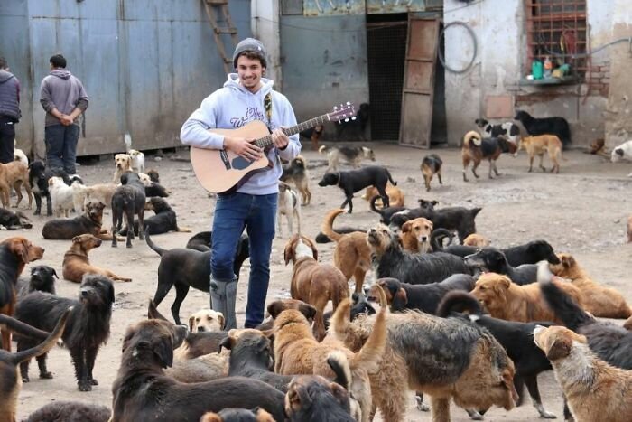 Guy Takes In Pups That No One Wants, Runs A Shelter With 750 Dogs