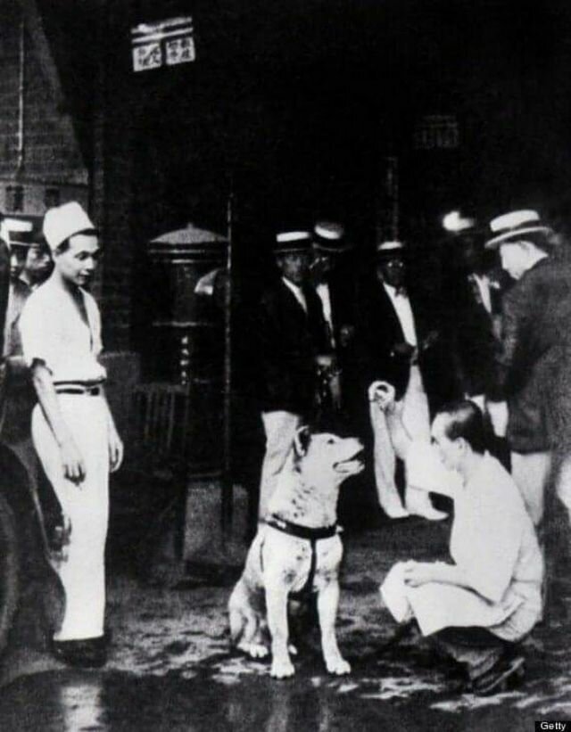 Rare Photos of Hachiko, the World's Most Loyal Dog