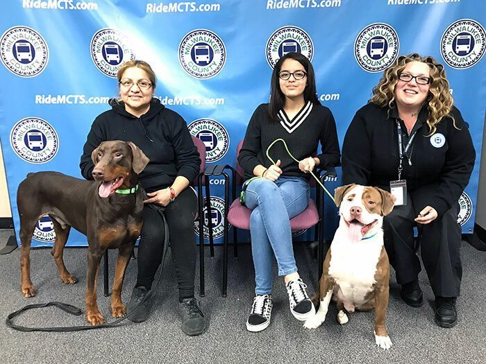 This Bus Driver Notices 2 Lost Dogs On The Roadside, Helps Them Make It Home For The Holidays