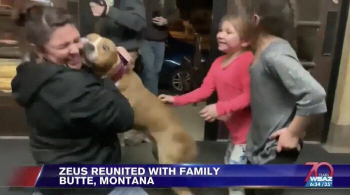 Zeus was incredibly happy to be reunited with his owner and her kids
