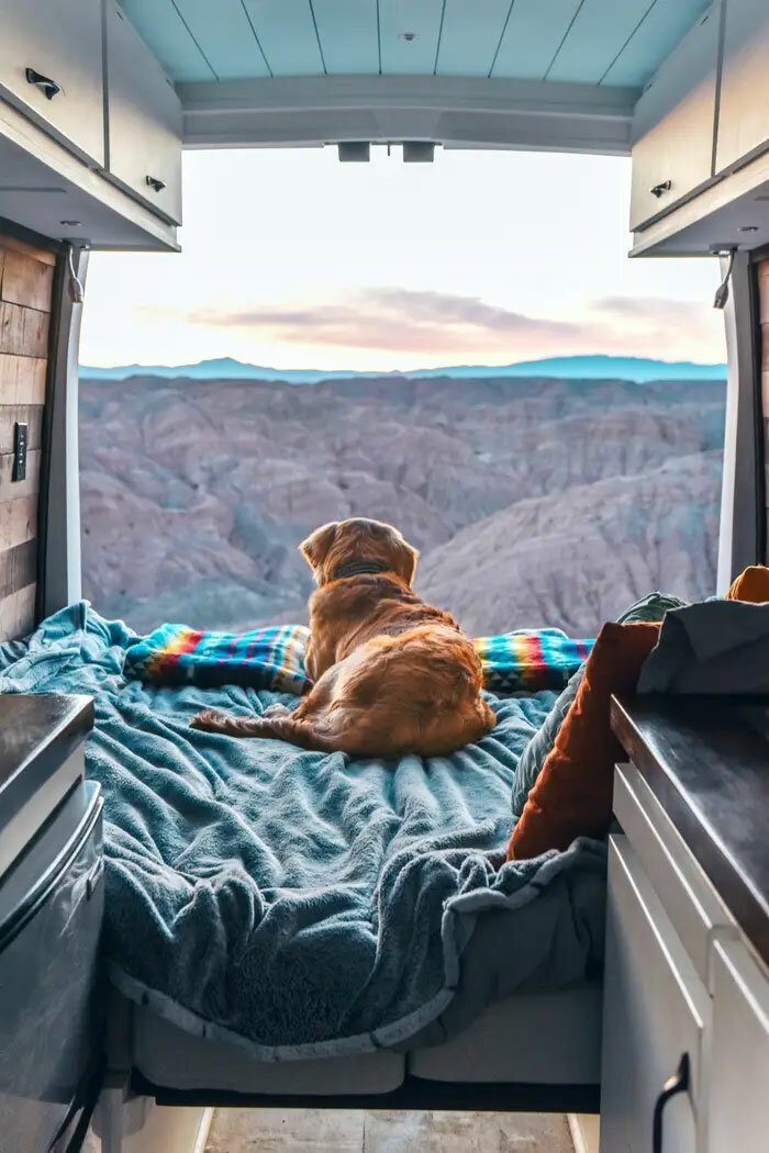 24-Year-Old Dumps Her Boyfriend, Quits Her Job, And Now Is Living The Van Life With Her Dog