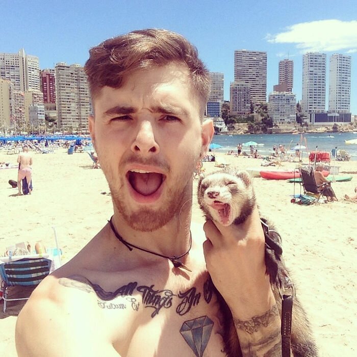 Charlie quit his job and went traveling with his pet ferret, Bandit