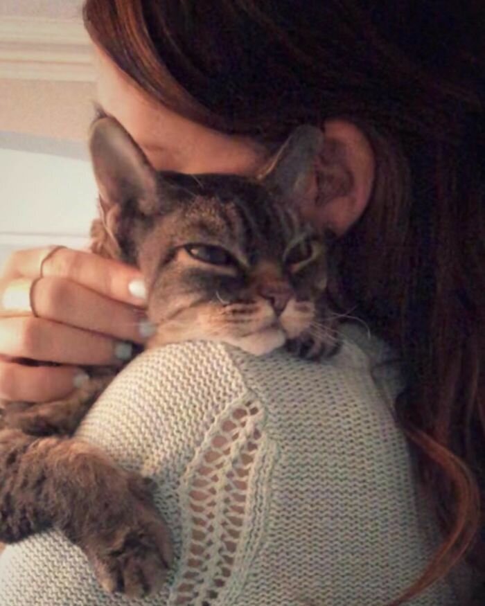 Woman Adopts A Cat That Looks Like She’s Ready To Kill You