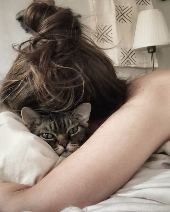 Woman Adopts A Cat That Looks Like She’s Ready To Kill You