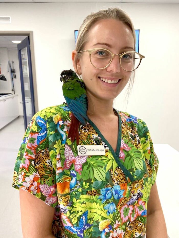 Vet Gives Parrot New Wings After Someone Severely Trimmed Them To Stop It From Flying Away