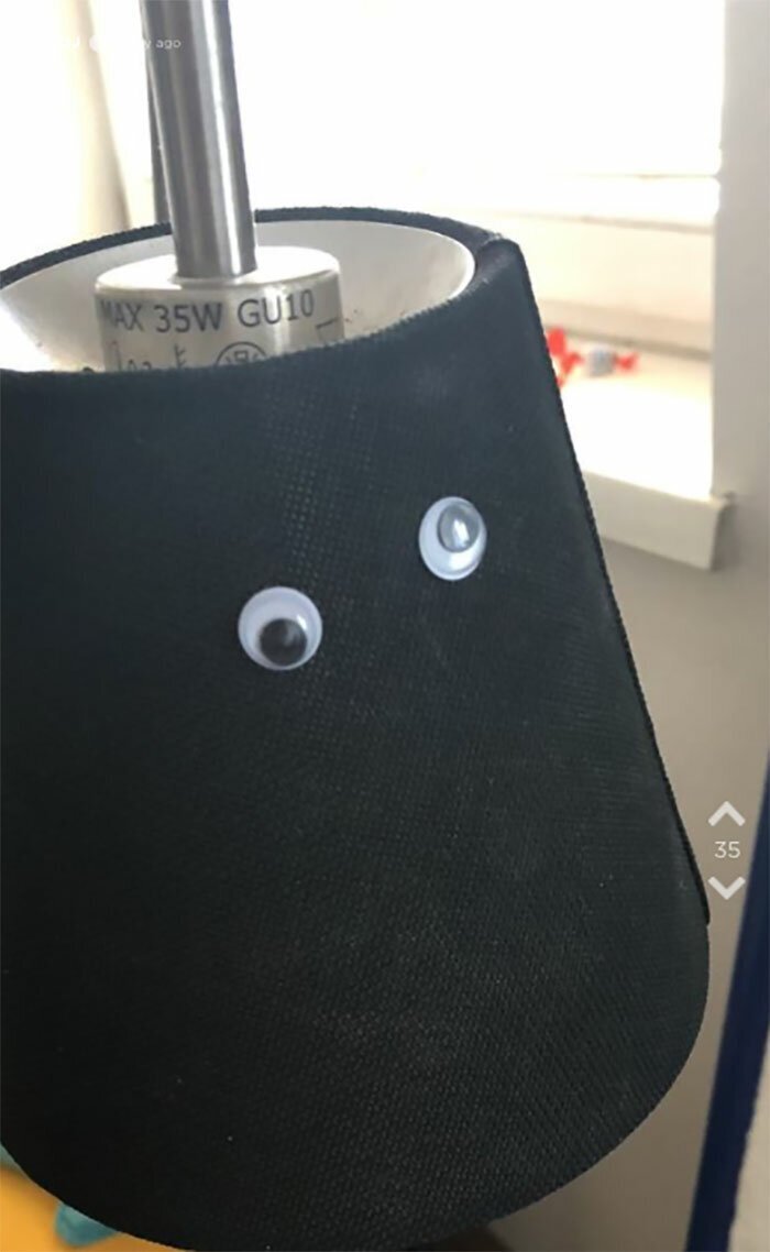 Girlfriend Orders 1K Googly Eyes, Spends 2 Hours Sticking Half Of Them On Everything
