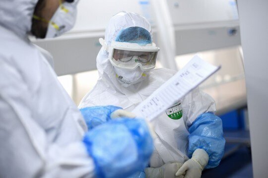 Health experts are trying to uncover how the coronavirus spread to humans 