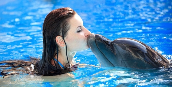 Дельфин вступил в интимные отношения с человеком 
