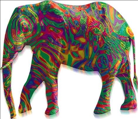 Слон под ЛСД 