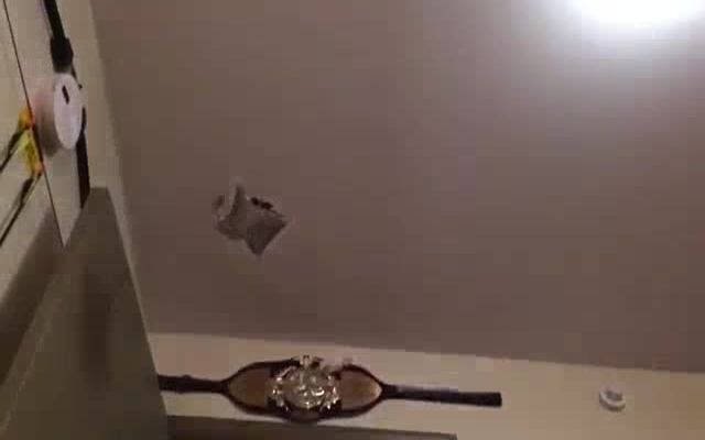 Домашняя белка-летяга 