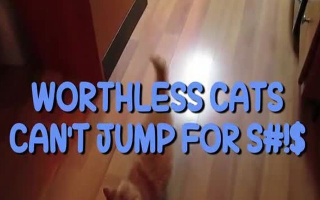 Смешная подборка неудачных кошачьих прыжков 