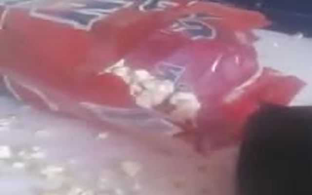 Морская свинка и попкорн 