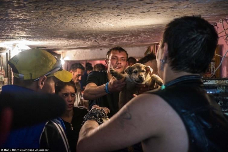 Город бездомных и наркоманов в канализации Бухареста