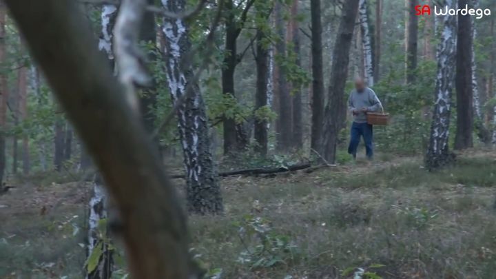 Зомби-апокалипсис в Варшаве 