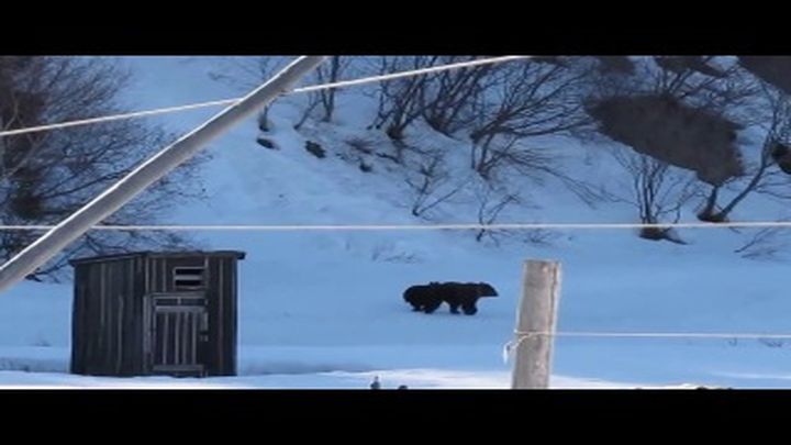 Только американцам не показывайте