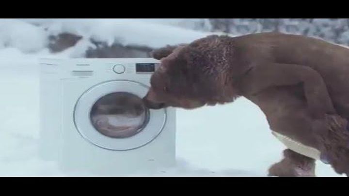 Смешная реклама стиральной машины и уставший ветеринар  