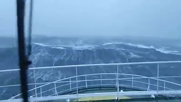 Настоящие морские волки смеются в лицо гигантским волнам 