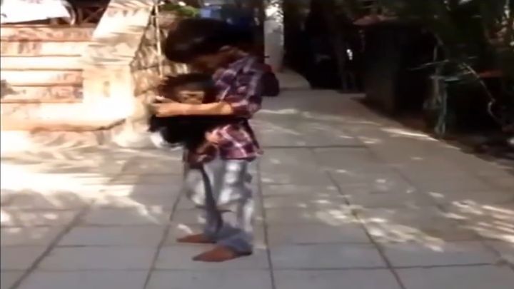 Мальчик защитил маленькую обезьянку от гиены 