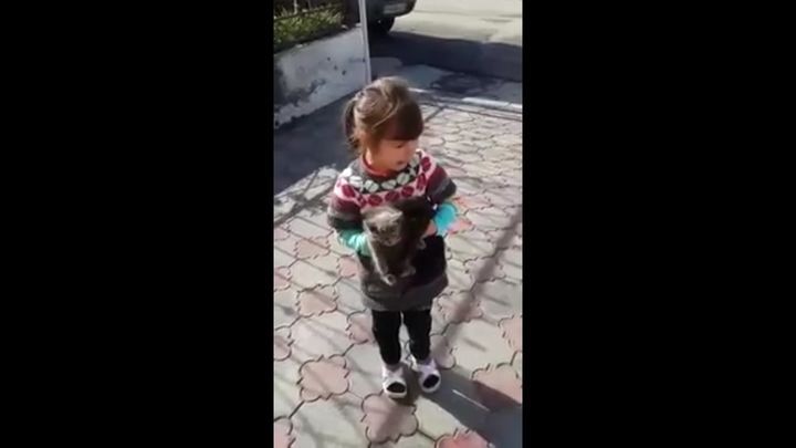 Девочка просит оставить котёнка 