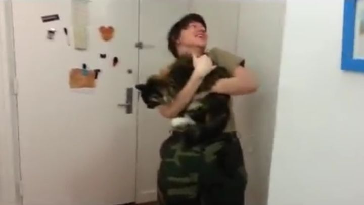Коты встречают хозяев после службы в армии 