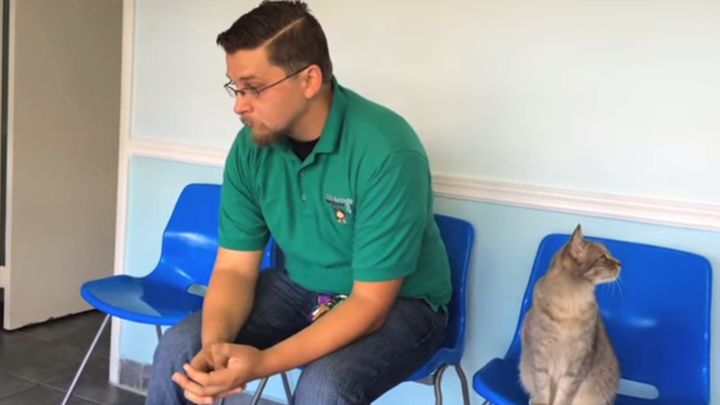 Хозяин воссоединился со своей украденной собакой спустя 8 лет 