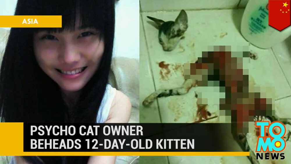 Китаянка жестоко убила котёнка, чтобы отомстить отцу 