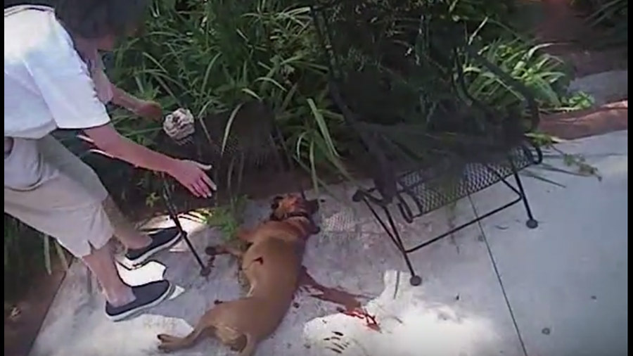 В США полицейский застрелил собаку 