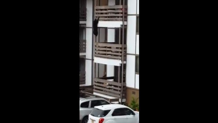 Диверсант из КГБ спускается с 3 этажа по балконам 
