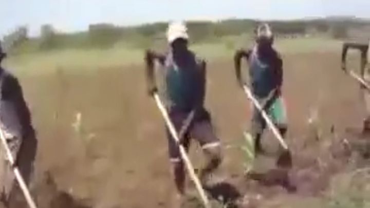 Задорные африканские работники  