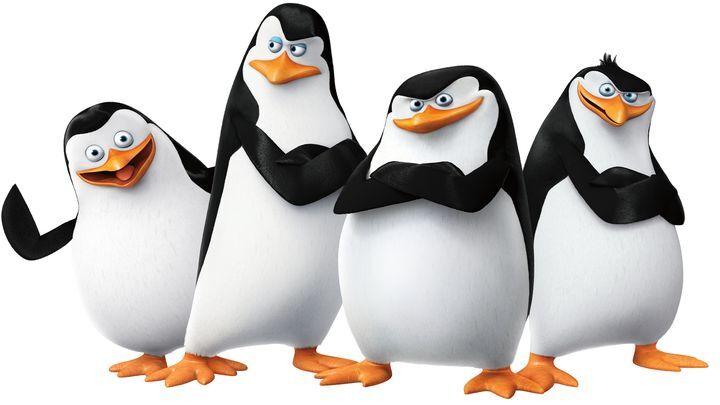 Улыбаемся и машем: дерзкий побег пингвинов из зоопарка 